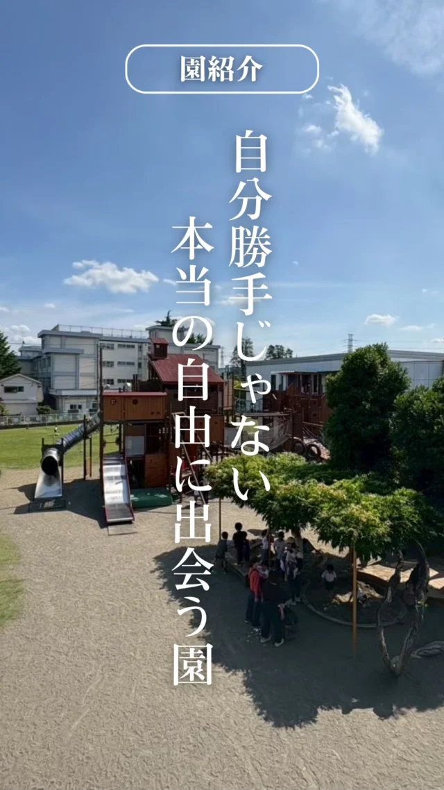 【園紹介】
本日紹介する園は#田無いづみ幼稚園 ！
西東京市田無にある園です🙌🏻

園長の小林正和先生は園児の成長を確信し、
園児が挑戦できる環境づくりをしています✨

広い園庭や大きな遊具もあり、園児がのびのびと
動くことができる園です！

過去の投稿、記事も是非ご覧ください！

#幼稚園教諭 
#幼稚園 
#幼保学生 
#田無